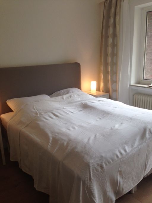 Miete 1 Zimmer Wohnung Bremen | Ganze Wohnung | Bremen | Studio Apartment mit Balkon und Wifi | Hominext