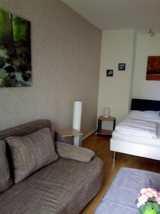 Rent 1 room apartment Markkleeberg | Entire place | Markkleeberg | Gemütliche Wohnung | Hominext