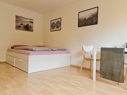 Rent 1 room apartment Mainz | Entire place | Mainz | Großzügiges, helles und ruhiges Apartment | Hominext