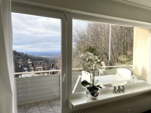 Miete 1 Zimmer Wohnung Baden-Baden | Ganze Wohnung | Baden-Baden | Modernes Apartment Sunset mit tollem Blick | Hominext