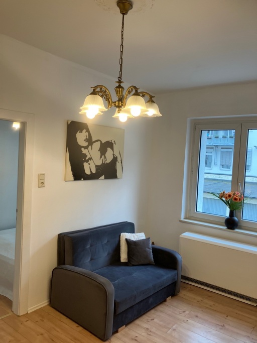 Miete 1 Zimmer Wohnung Hamburg | Ganze Wohnung | Hamburg | Frisch renovierte und zentrale Wohnung Hamburg- U2/4 Burgstr | Hominext