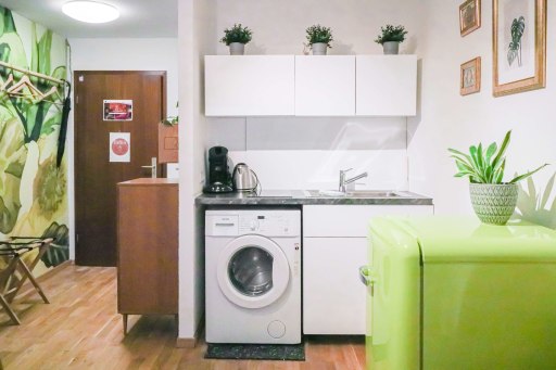 Miete 1 Zimmer Wohnung Mannheim | Ganze Wohnung | Mannheim | Urban Jungle Flat | Hominext