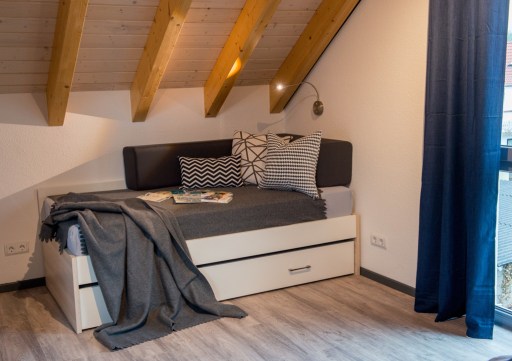 Miete 1 Zimmer Wohnung Bensheim | Ganze Wohnung | Bensheim | Schicke Luxus-Wohnung "Dach-Loft" für 2-3 Personen | Hominext