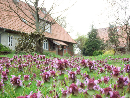 Miete 1 Zimmer Wohnung Wittenburg | Ganze Wohnung | Wittenburg | Kleine Stube - Nähe Schaalsee | Hominext