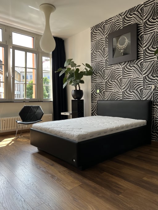 Miete 1 Zimmer Wohnung Mannheim | Ganze Wohnung | Mannheim | Luxusapartment in Mannheim | Hominext