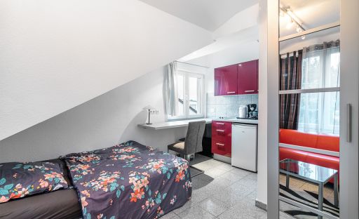 Miete 1 Zimmer Wohnung Mainz | Ganze Wohnung | Mainz | DAS BESONDERE APARTMENT * NOBLE AUSSTATTUNG * NÄHE UNI | Hominext