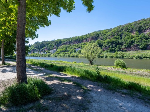 Miete 1 Zimmer Wohnung Trier | Ganze Wohnung | Trier | Trier Nikolaus-Leis-Straße - Suite mit 1 Schlafzimmer & Balkon | Hominext