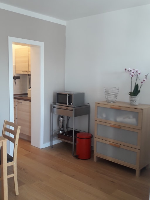 Miete 1 Zimmer Wohnung Frankfurt am Main | Ganze Wohnung | Frankfurt am Main | Apartment mit Parkplatz | Hominext