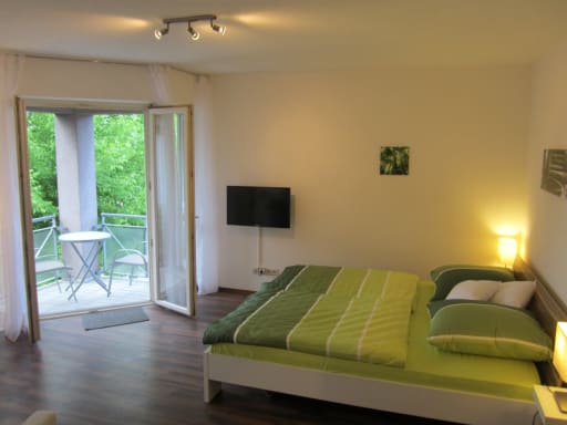 Rent 1 room apartment Karlsruhe | Entire place | Karlsruhe | Modernes Wohlfühlapartment in Karlsruhe | Hominext