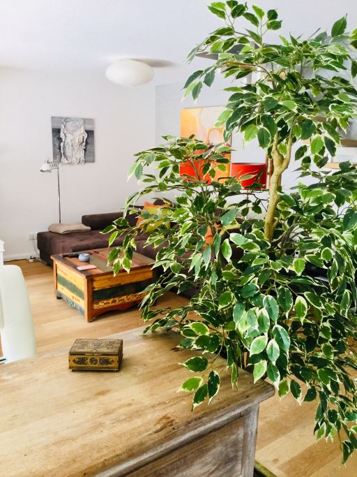 Miete 2 Zimmer Wohnung Mülheim an der Ruhr | Ganze Wohnung | Mülheim an der Ruhr | Stylisches Maisonnette Loft | Hominext