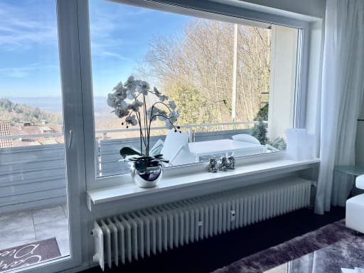 Rent 1 room apartment Baden-Baden | Entire place | Baden-Baden | Modernes Apartment Sunset mit tollem Blick | Hominext