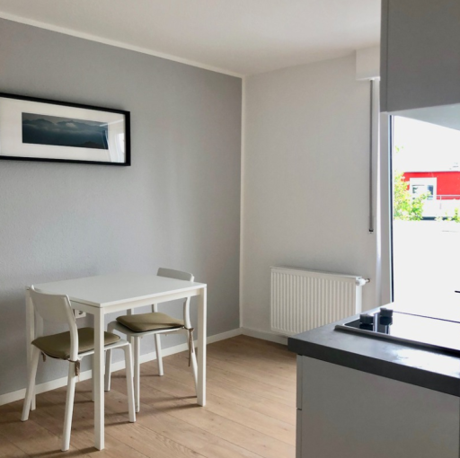 Miete 1 Zimmer Wohnung Kaiserslautern | Ganze Wohnung | Kaiserslautern | Modernes 2-Zimmer Apartment | Hominext