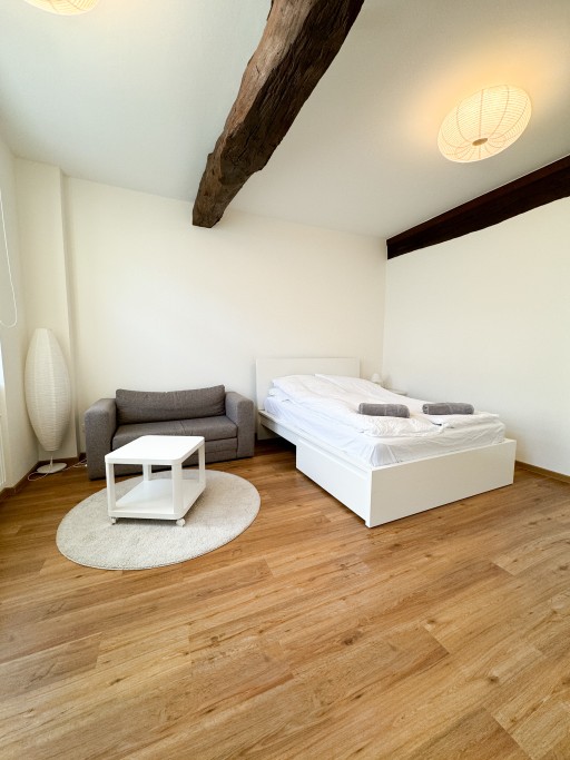 Miete 1 Zimmer Wohnung Stolberg | Ganze Wohnung | Stolberg | Mondernes Apartment bei Aachen in Stolberg | Hominext