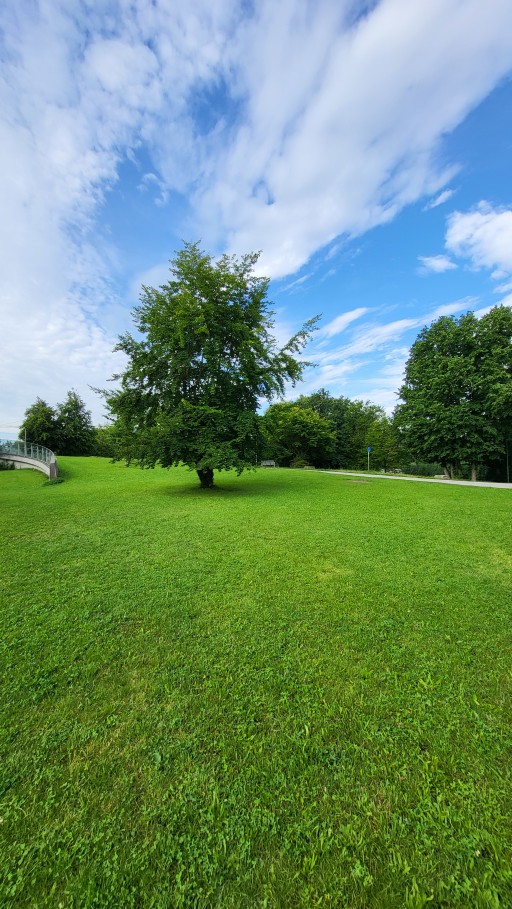 Miete 1 Zimmer Wohnung Augsburg | Ganze Wohnung | Augsburg | Helles und freundlichesStudio mit Balkon und Blick ins Grüne,  zentrale Lage, top Anbindung | Hominext