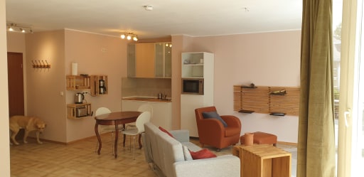 Miete 1 Zimmer Wohnung Mainz | Ganze Wohnung | Mainz | Großzügiges, helles und ruhiges Apartment | Hominext