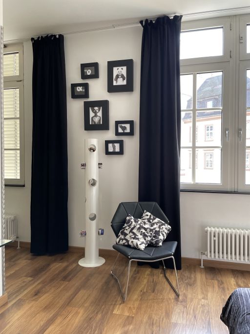 Miete 1 Zimmer Wohnung Mannheim | Ganze Wohnung | Mannheim | Luxusapartment in Mannheim | Hominext