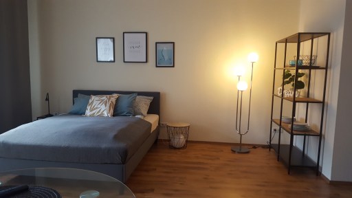 Miete 1 Zimmer Wohnung Magdeburg | Ganze Wohnung | Magdeburg | Großzügiges Appartment in wunderschöner Wohnlage | Hominext