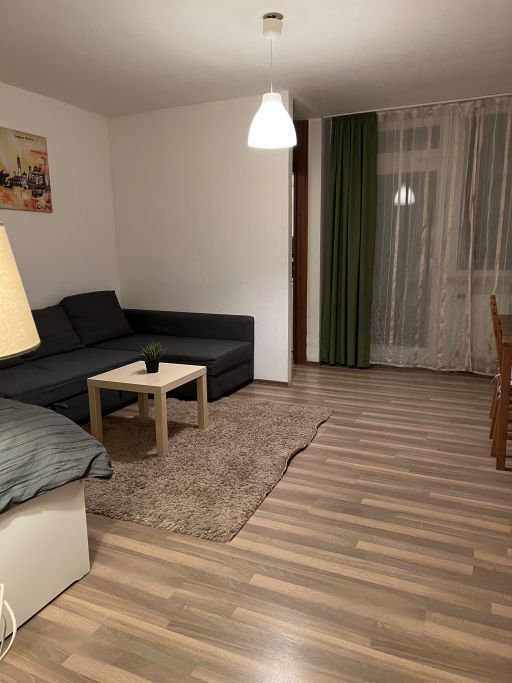 Miete 1 Zimmer Wohnung Augsburg | Ganze Wohnung | Augsburg | Apartment nahe Wertach in Pfersee | Hominext