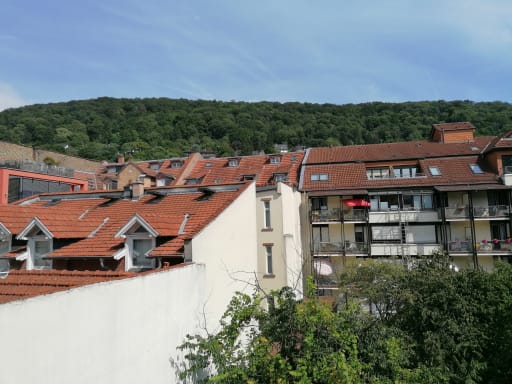 Miete 1 Zimmer Wohnung Heidelberg | Ganze Wohnung | Heidelberg | Wunderschöne Weststadtwohnung mit Gaisbergblick | Hominext