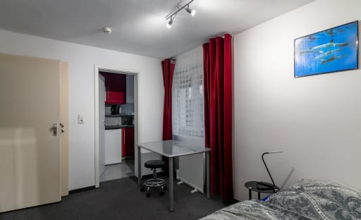 Miete 1 Zimmer Wohnung Mainz | Ganze Wohnung | Mainz | Das besondere Apartment mit Charme  Nähe Uni | Hominext