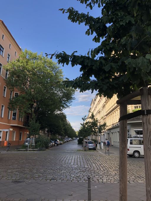 Miete 2 Zimmer Wohnung Berlin | Ganze Wohnung | Berlin | Altbauwohnung auf Luxusniveau in sehr ruhiger Lage, nähe Schloss Bellevue und dem Plötzensee | Hominext