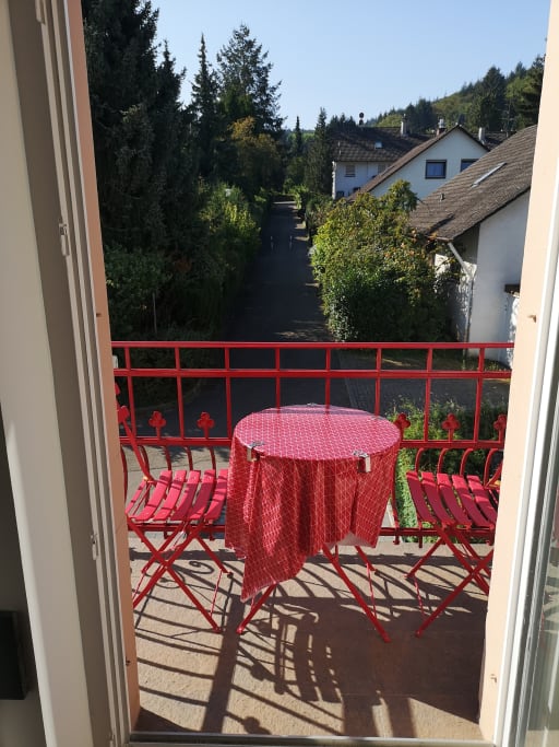 Rent 1 room apartment Baden-Baden | Entire place | Baden-Baden | Apartment Belle Époque | Hominext