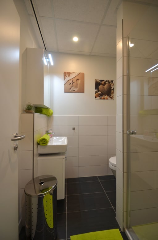 Miete 1 Zimmer Wohnung Offenbach am Main | Ganze Wohnung | Offenbach am Main | Wohnliches Business-Apartment bei Frankfurt | Hominext