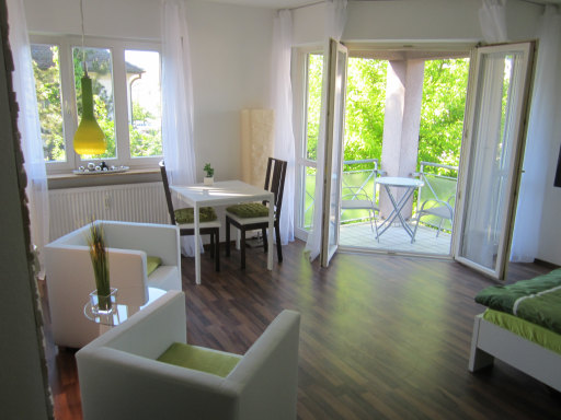 Rent 1 room apartment Karlsruhe | Entire place | Karlsruhe | Modernes Wohlfühlapartment in Karlsruhe | Hominext