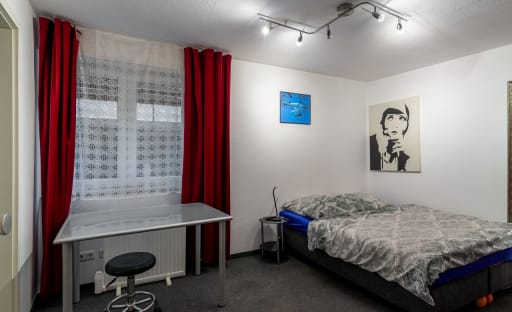 Miete 1 Zimmer Wohnung Mainz | Ganze Wohnung | Mainz | Das besondere Apartment mit Charme  Nähe Uni | Hominext