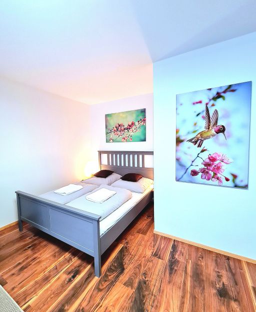 Miete 1 Zimmer Wohnung Düsseldorf | Ganze Wohnung | Düsseldorf | Exklusive Designerwohnung mit Balkon in Derendorf | Hominext