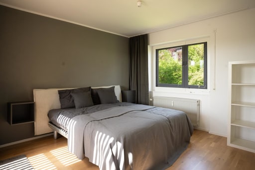 Miete 2 Zimmer Wohnung Tübingen | Ganze Wohnung | Tübingen | criston apartments - penthouse luxury dream | Hominext