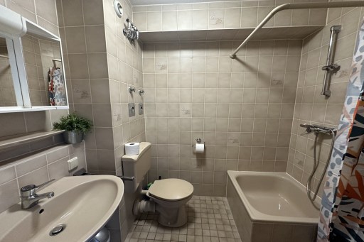 Rent 1 room apartment Mannheim | Entire place | Mannheim | Schönes Dachstudio in Mannheim Nahe Rheinauer See | Hominext