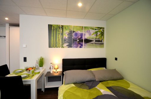 Miete 1 Zimmer Wohnung Offenbach am Main | Ganze Wohnung | Offenbach am Main | Bequemes Boardingapartment - komplett möbliert | Hominext