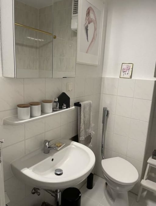 Rent 1 room apartment Mannheim | Entire place | Mannheim | Schöne sonnige Wohnung in Mannheim Feudenheim | Hominext