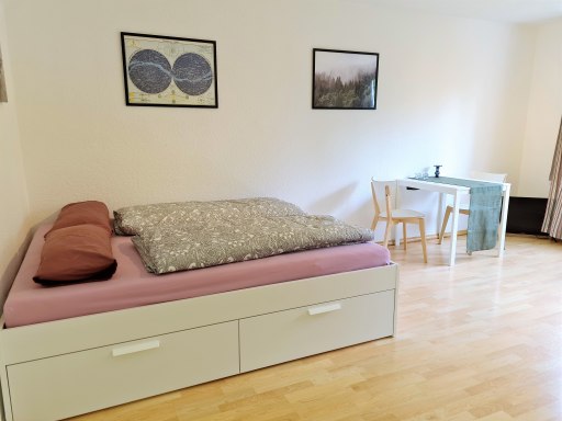 Rent 1 room apartment Mainz | Entire place | Mainz | Großzügiges, helles und ruhiges Apartment | Hominext