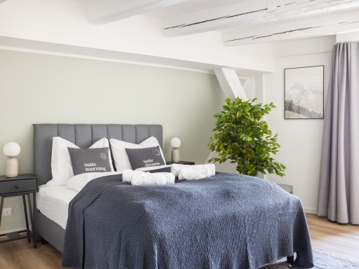 Miete 1 Zimmer Wohnung Zwickau | Ganze Wohnung | Zwickau | Zwickau Hauptmarkt - Suite M | Hominext