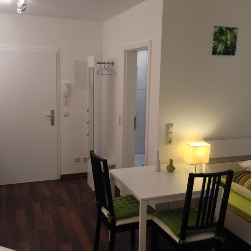 Miete 1 Zimmer Wohnung Karlsruhe | Ganze Wohnung | Karlsruhe | Hochwertiges Apartment in Karlsruhe | Hominext