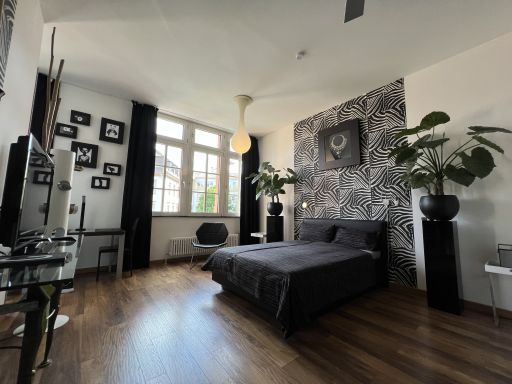 Miete 1 Zimmer Wohnung Mannheim | Ganze Wohnung | Mannheim | Luxusapartment in Mannheim