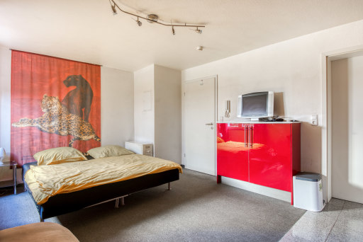 Miete 1 Zimmer Wohnung Mainz | Ganze Wohnung | Mainz | DAS BESONDERE APARTMENT DER EXTRAKLASSE NÄHE UNI | Hominext