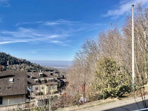 Miete 1 Zimmer Wohnung Baden-Baden | Ganze Wohnung | Baden-Baden | Modernes Apartment Sunset mit tollem Blick | Hominext