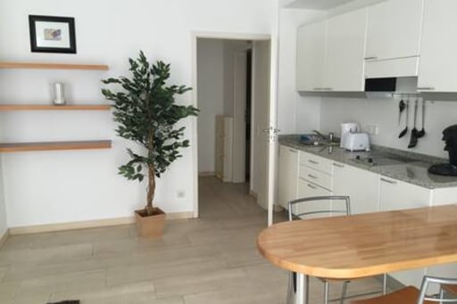 Miete 1 Zimmer Wohnung Düsseldorf | Ganze Wohnung | Düsseldorf | Zentrales gelegenes Appartement in ruhiger Seitenstraße | Hominext