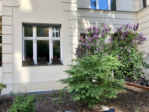 Miete 1 Zimmer Wohnung Berlin | Ganze Wohnung | Berlin | Raumtraum | Hominext