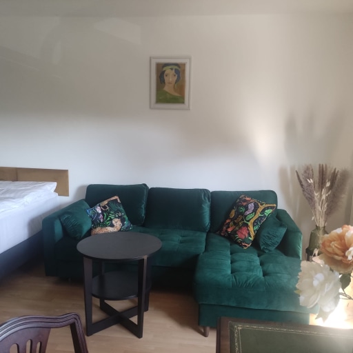 Rent 1 room apartment Dresden | Entire place | Dresden | Traum am Klinikum | Hominext