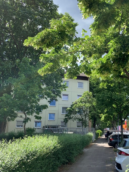 Miete 2 Zimmer Wohnung Karlsruhe | Ganze Wohnung | Karlsruhe | MILA Appartement | Hominext