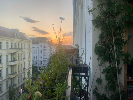 Rent 1 room apartment Berlin | Entire place | Berlin | Wunderschöne, sonnige Wohnung, zentral und in Parknähe | Hominext