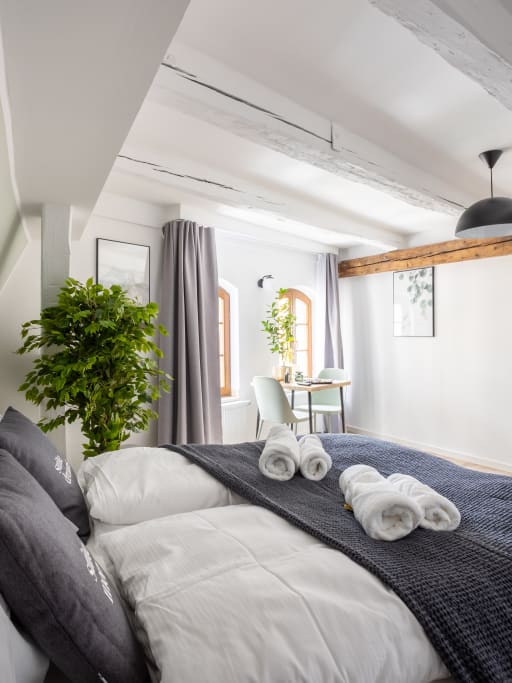 Miete 1 Zimmer Wohnung Zwickau | Ganze Wohnung | Zwickau | Zwickau Hauptmarkt - Suite M | Hominext