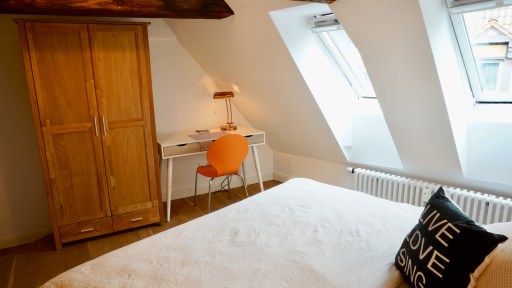 Miete 1 Zimmer Wohnung Hannover | Ganze Wohnung | Hannover | Luxus in der Altstadt | Hominext