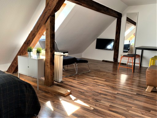 Rent 1 room apartment Karlsruhe | Entire place | Karlsruhe | über den Dächern Karlsruhes | Hominext