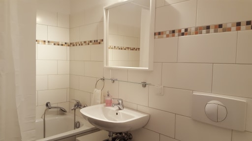 Miete 1 Zimmer Wohnung Magdeburg | Ganze Wohnung | Magdeburg | Großzügiges Appartment in wunderschöner Wohnlage | Hominext