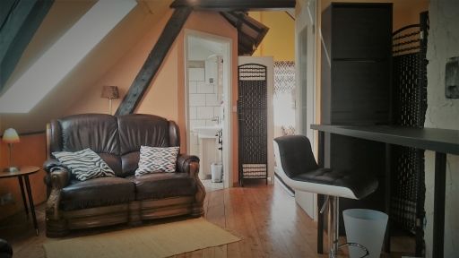 Rent 1 room apartment Pulheim | Entire place | Pulheim | Safari Loft im Herzen Pulheims / nahe Köln | Hominext